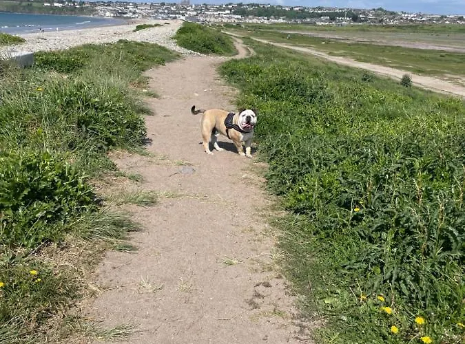 펜션 Harmony House Enclosed Near And