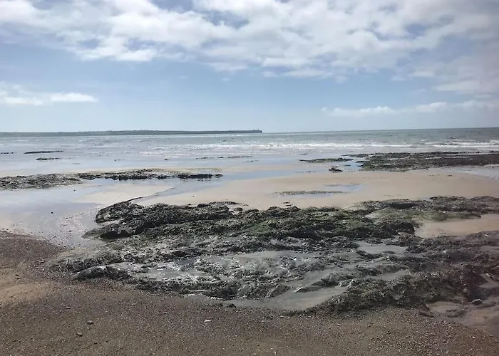 Harmony House Enclosed Near And * 트라모어