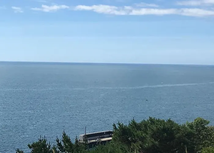 Harmony House Enclosed Near And 펜션