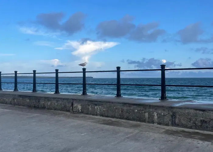 Harmony House Enclosed Near And *